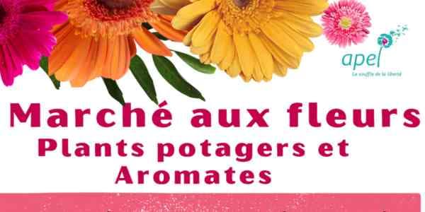 MARCHÉ AUX FLEURS